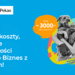 Zyskaj nawet 3000 zł z Kontem Biznes z Żubrem!