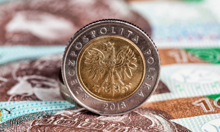 Sierpniowe stawki obligacji skarbowych ogłoszone! Ministerstwo Finansów podjęło decyzję