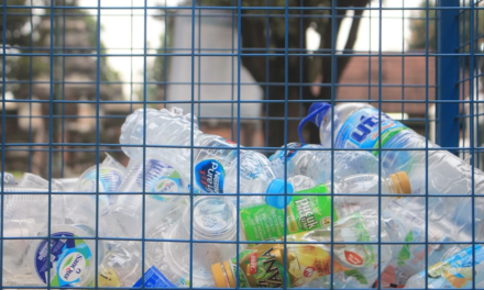 Koniec stania w kolejkach po własne pieniądze! 4000 nowoczesnych recyklomatów zaleje polskie miasta