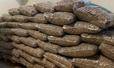 Pellet drożeje o 30 proc. UOKiK ujawnia prawdziwą przyczynę przed zimą