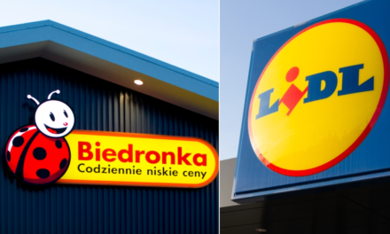 Biedronka czy Lidl: ile wynosi pensja na start we wrześniu 2026? Porównanie stawek i premii