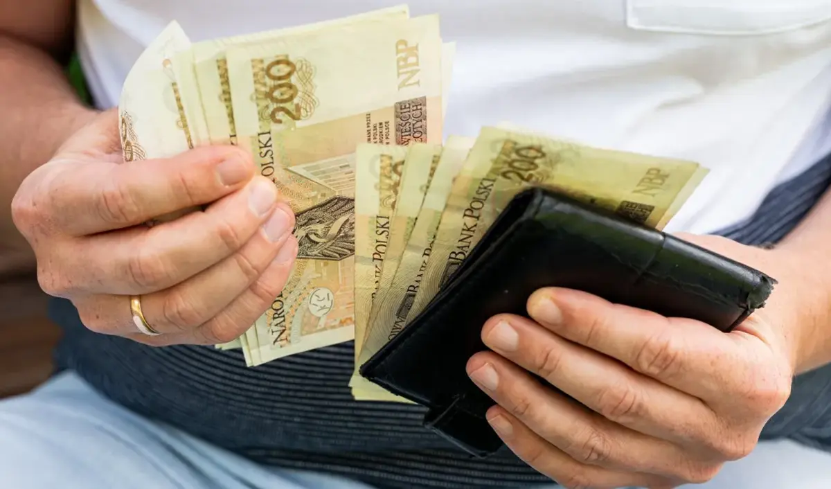 GUS pokazał budżety Polaków. 3500 zł dochodu i 2015 zł wydatków miesięcznie na osobę