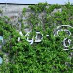 Wyciek MyDr objął nawet 19 mln osób. Jak bezpiecznie sprawdzić dane i ochronić PESEL?