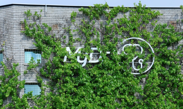 Wyciek MyDr objął nawet 19 mln osób. Jak bezpiecznie sprawdzić dane i ochronić PESEL?