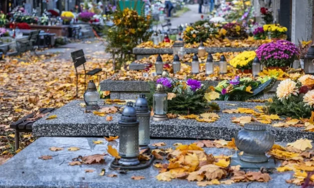 Odszkodowanie za nagrobek: kiedy zgłosić szkodę z polisy, a kiedy do zarządcy cmentarza?